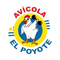 logo el poyote